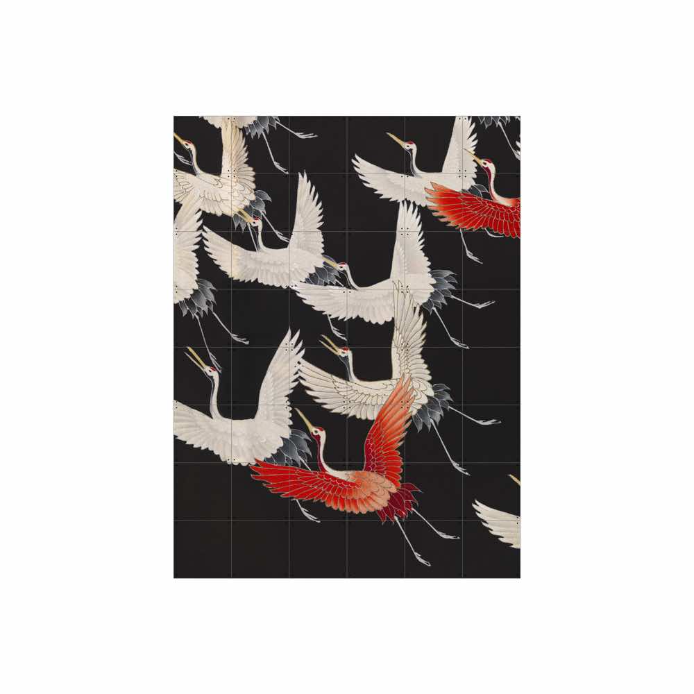 ixxi-kimono-with-cranes-black